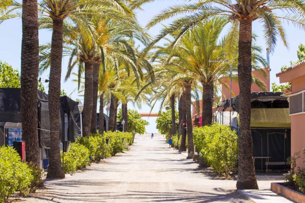 Camping Tres Estrellas Mediterraneo Xilxes  Dış mekan fotoğraf